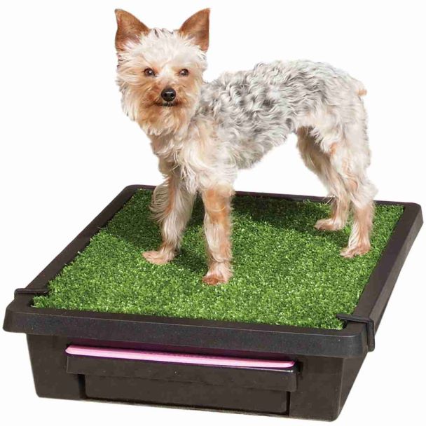 The Pet Loo Kitty Kat Small Backyard In A Box [ PWM00-14497 ]