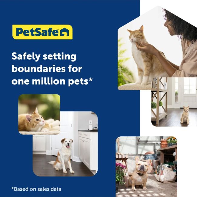 Pet deterrent motion activated cheap