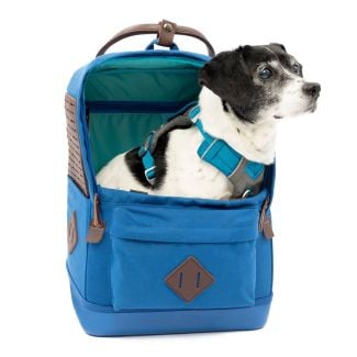 Kurgo Nomad Dog Carrier Airline Approved Backpack in Blue [ PCR30-17288 ]
